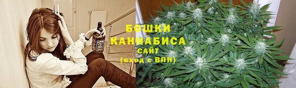 сатива Алексин