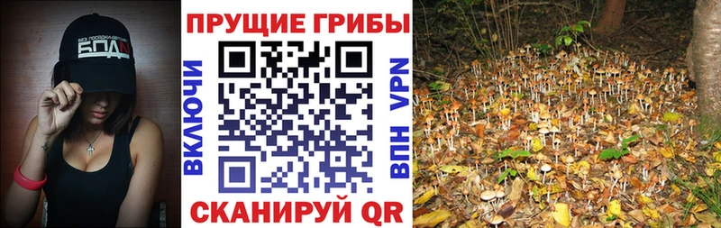 Галлюциногенные грибы MAGIC MUSHROOMS купить наркотики сайты Ухта