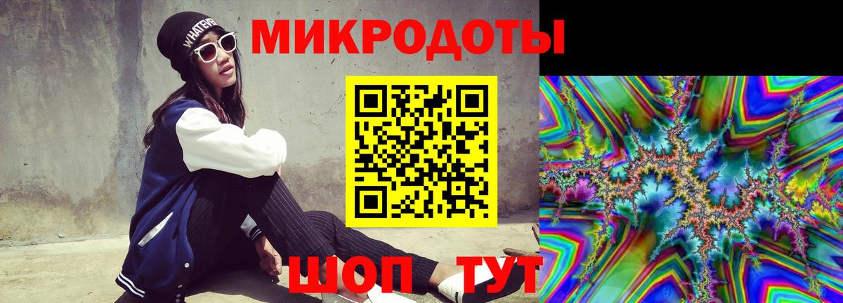 Псилоцибиновые грибы Psilocybe Ухта